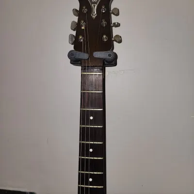 Burns GB 66 Semi Acoustic Guitar image 2