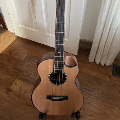 Traveler Guitar 4 String Acoustic-Electric Bass Guitar (CL3BE SPSE) image 1