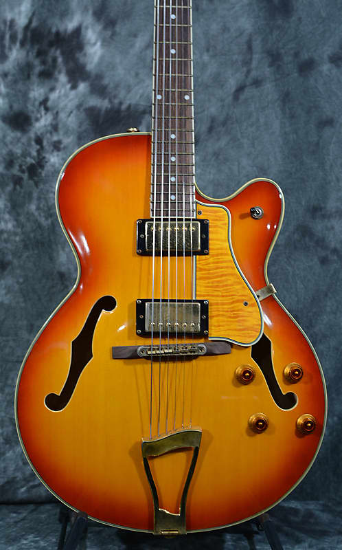 Landscape SA-101 Single Cut Prototype Hollow Body Archtop Electric 00s Made in Japan Sunburst w Case image 1