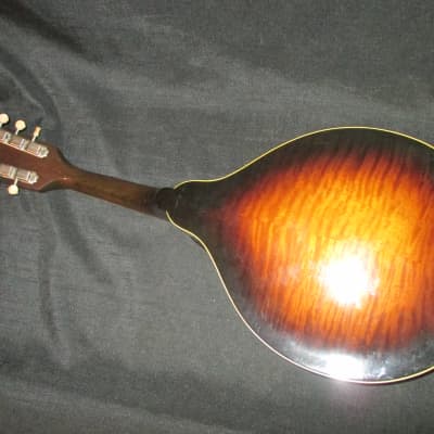 Gibson A50? Mandolin image 5