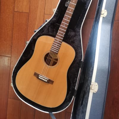 Bedell HGD 18 G with Washburn hard case and bedell bag for sale