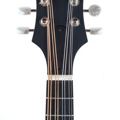 Eastman MD315 F Style image 2