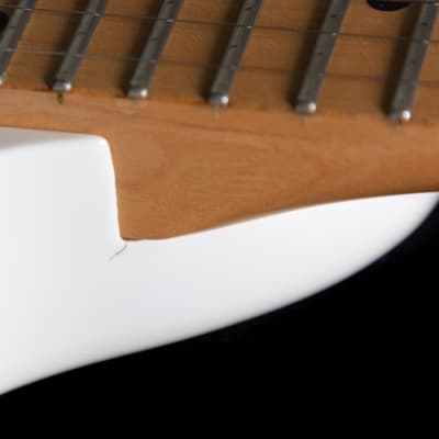 Ibanez PGM301-WH Paul Gilbert Signature with Maple / Walnut Neck 2005 - 2008 White image 15