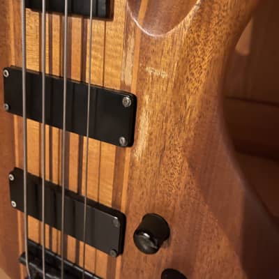 Edwards Forest Bass neck through fretless Mid 2000 - Natural image 8