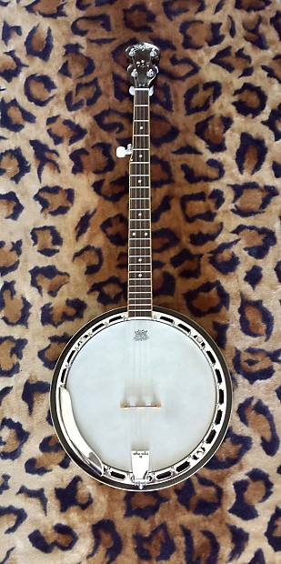 Washburn b12 banjo top