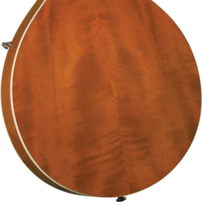 Kentucky KM-272 Deluxe Oval Hole A-Model Mandolin, Transparent Amber w/Soft Case image 2