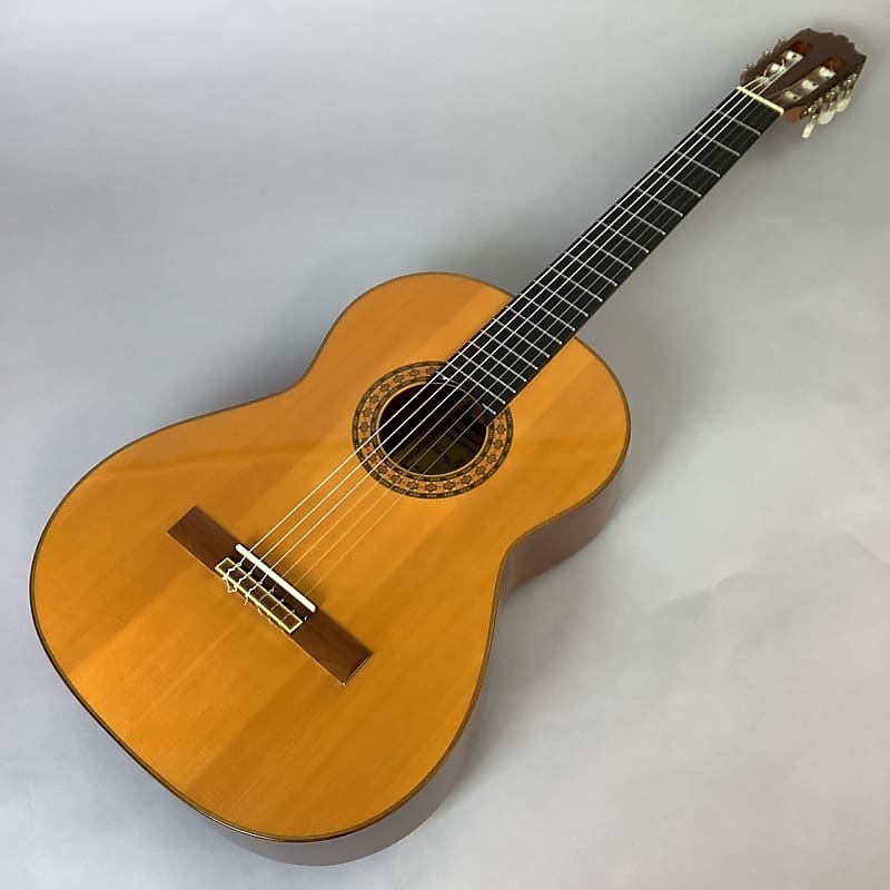 Raimundo 155S | Reverb