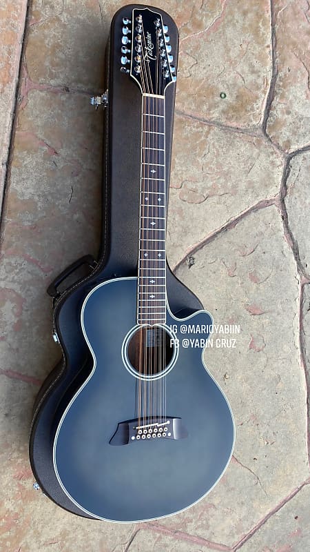 Takamine　NPT110-12　12弦Guitar Takamine NPT110-12 12弦Guitar Takamine NPT110-12 12 String