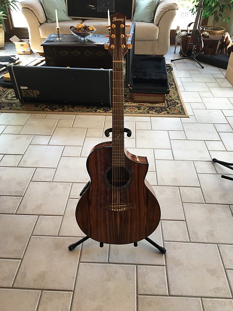 Ibanez ew deals 40