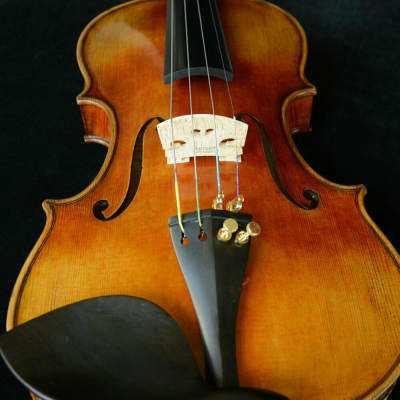 Solo Violin Guarneri Violin Powerful Sound Master Craftsmanship image 6