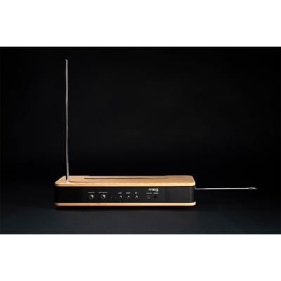 moog [GW Gold Rush Sale] Etherwave Theremin (MG EW THEREMIN) + Stand Set image 6