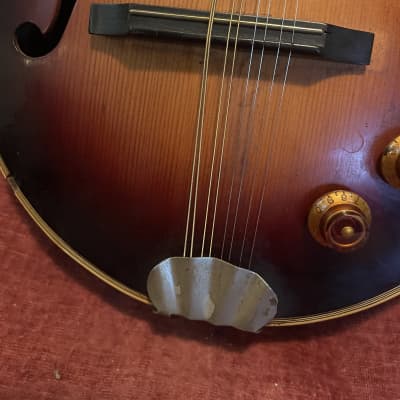 norma  mandolin.  project sunburst image 7