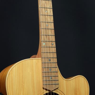 Cole Clark FL Dreadnought CCFL2EC-BB Bunya Top Blackwood Back and