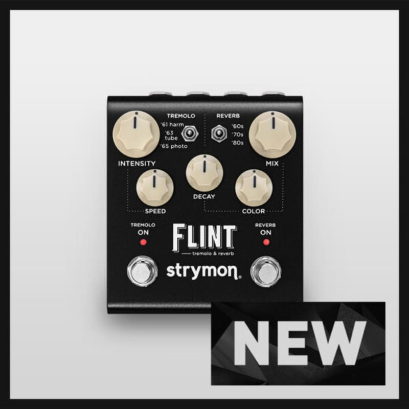 Strymon Flint V1 + Strymon Tap favorite + Rockman TRS cable | Reverb