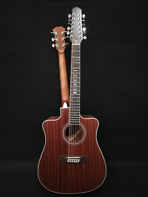 12 String / 6 String Acoustic Electric, Double Sided Busuyi Reverb