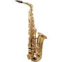Allora AAS-250 Student Series Alto Saxophone Regular Lacquer