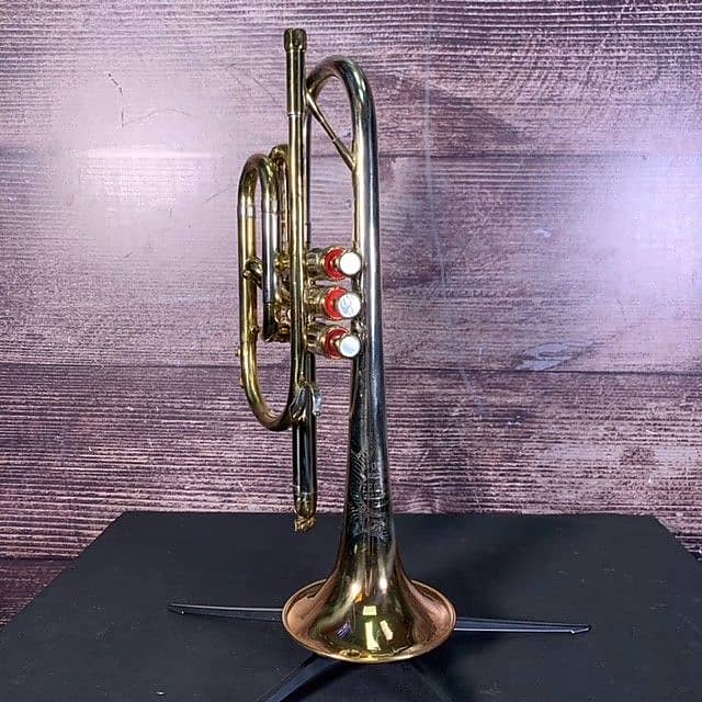 Olds 1960's Special (Phoenix, AZ) Reverb