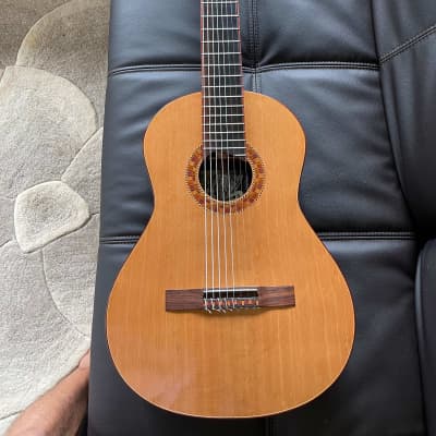 Rich DiCarlo 8 String Classical Guitar 2006 French Polish image 2
