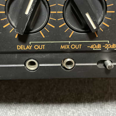 Evans Echopet EP-250 BBD Analog Delay, Spring reverb | Reverb UK