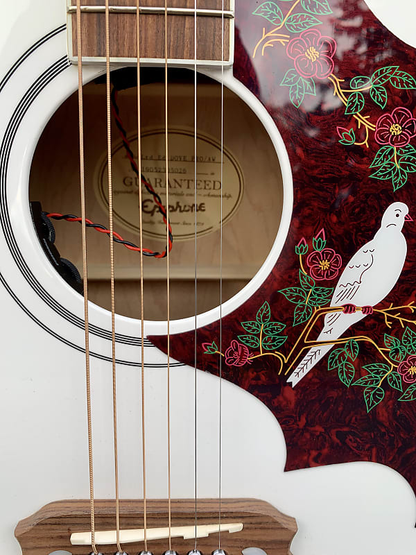 finEpiphone ダヴ　Dove Pro エレアコ希少ホワイトカラー Epiphone Limited Edition Dove PRO Alpine White <エピフォン