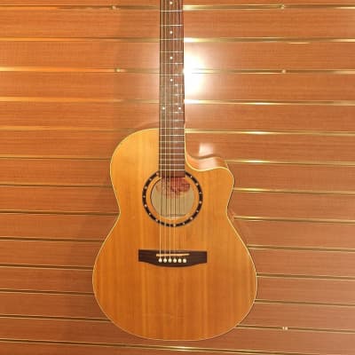 Norman By Godin Encore B20 CW Acoustic Guitar (Cherry Hill, NJ) image 1