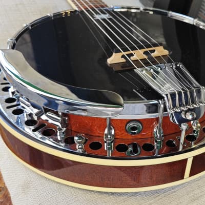 Epiphone Stagebird Banjo image 6