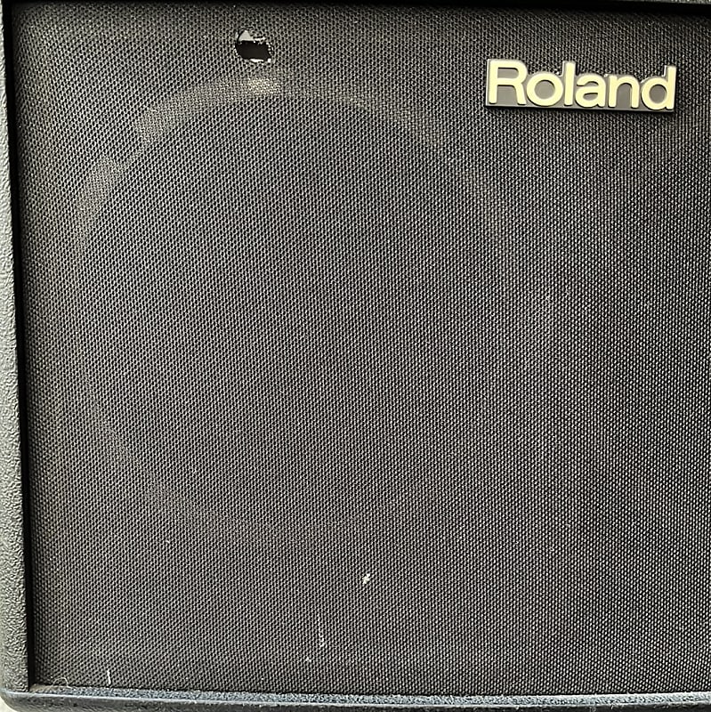 Roland AC-60 Acoustic Chorus 2-Channel 60-Watt 2x6.5