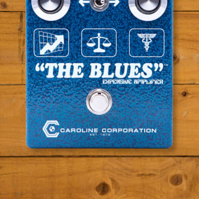 Caroline Guitar Company The Blues | Expensive Amplifier for sale