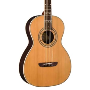 Washburn wp26sns sale