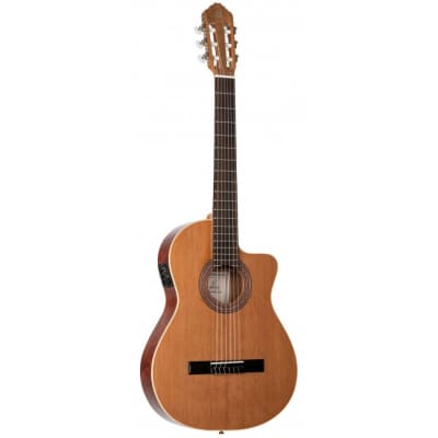 ORTEGA RCE180GT Traditional Thinline Elektro-Akustik-Gitarre 4/4 inkl. Gigbag, Natural for sale