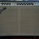 Fender Twin Reverb 1974 with blackface and tremolo expression mods