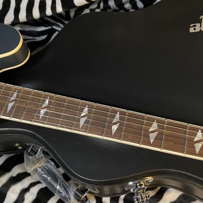 NEW ! Epiphone Dave Grohl DG-335 Semi-hollowbody Electric Guitar - Pelham Blue - In-Stock! - Authorized Dealer image 6
