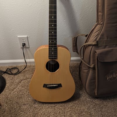 Rare Baby Taylor Spruce/Rosewood 301-R-GB 3/4 Size Acoustic