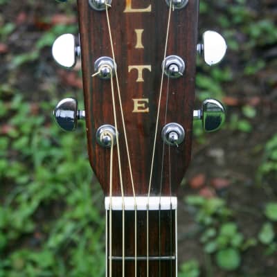 Takamine Elite TW 40 ハカランダ Takamine Elite TW-40 Dreadnought Size Guitar 1974 Natural