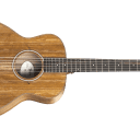 Taylor GS Mini Koa Acoustic/Electric Guitar w/Gigbag