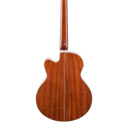 Ibanez AEB105E Acoustic Electric Bass Natural High Gloss image 5