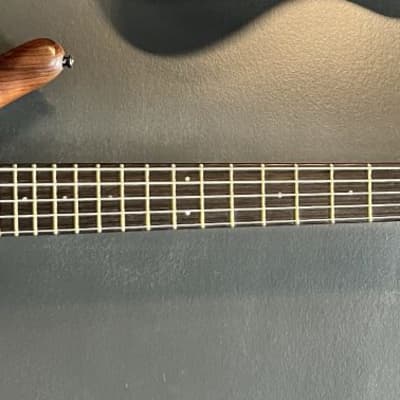 1990 Warwick Thumb 5 string for sale