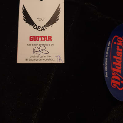 Dean Razorback Bone Shards Graphic (Dimebag Darrell, Pantera) With Original Dean Case image 3