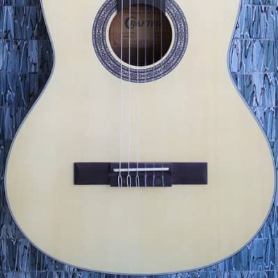 APC JM100, Jazz manuche guitar