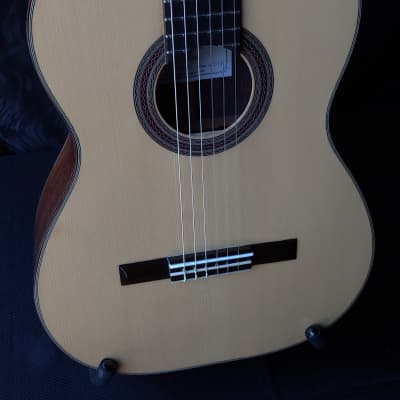 2019 Darren Hippner Torres Model Rosewood and Spruce Classical Guitar image 1