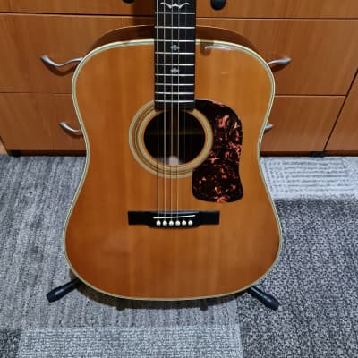 Washburn D-21 S/N Electro Acoustic Guitar for sale