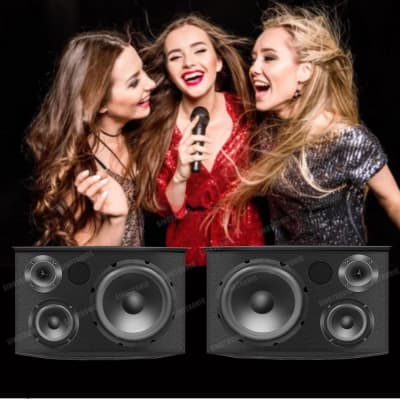 Singtronic Professional 1500W Karaoke Vocal Speakers - (Pair) image 3