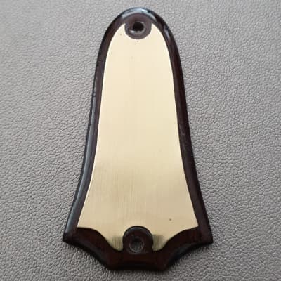 Truss rod cover for Taylor guitarsTwo Hole Models. image 1