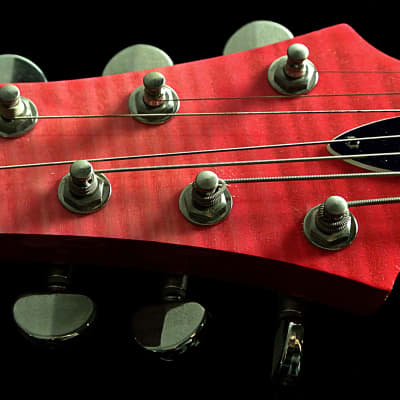 Raines LA6 or LA7 2019 6 or 7 String Electric Jazz Guitar Semi Hollowbody  TRADES! image 6
