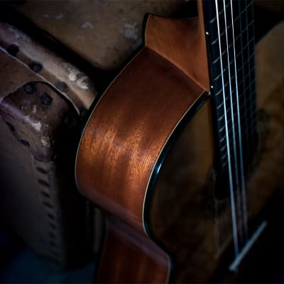 Washburn C40 Classical Nylon Guitar Natural image 6