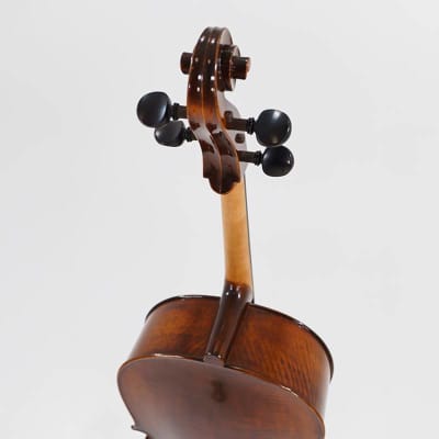 Eastman VC305 Andreas Eastman Step Up Professional Series Cello - 3/4 image 8