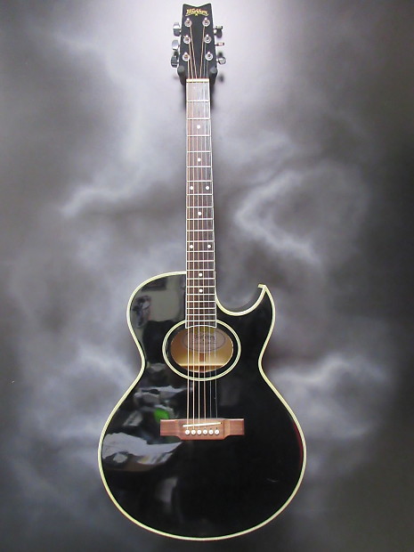 Washburn ea9b clearance