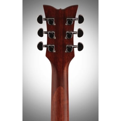 Schecter Deluxe Acoustic Guitar, Natural Satin image 9