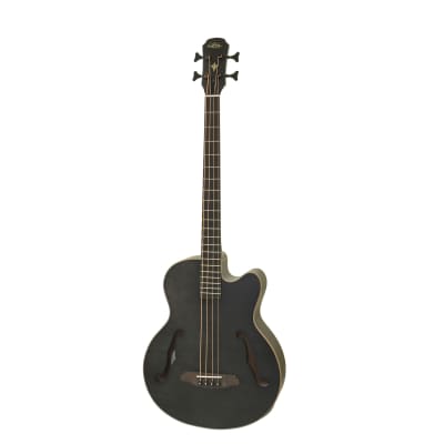 Aria FEB-F2M-STBK Flame Nato Top Nato Neck Medium Scale 4-String Acoustic Electric Bass Guitar w/Gig Bag for sale