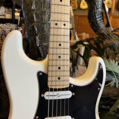 Fender Stratocaster Partscaster Build w/ Hard Shell Case image 5